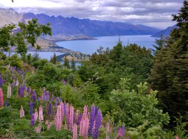 Beautiful view above Queenstown!