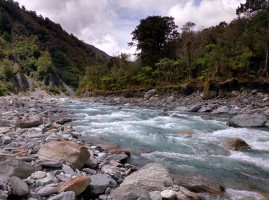 Toaroha river