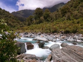 Toaroha river beauty