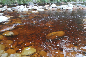 Interesting colors... some people were gold panning in the area too :)