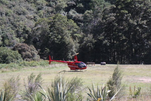 This helicopter showed up out of nowhere, landed here and the pilot went for a little walk... random