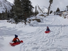 sledding action