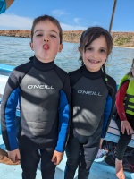 Snorkeling with a sea lion colony