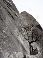 The crux of the first pitch is the left-arching corner