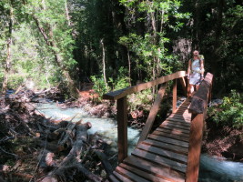 Lots of neat bridges making the trail quite easy!