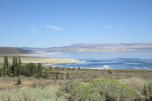 Driving by Mono Lake is always gorgeous