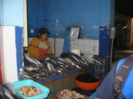 want to buy some fish?