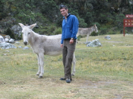 me with a friendly burro