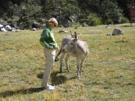 Marta with a burro