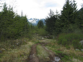 The road to the trailhead