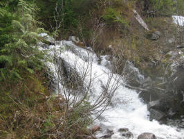 First water crossing, afraid to get wet!