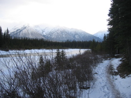 scenic biking along the bow river