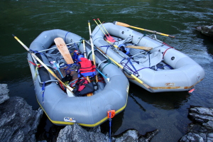 Two of the gear boats