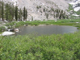 Lower Boy Scout Lake