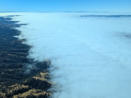 There is some beauty to the coastal fog from this perspective