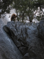 I'm climbing Serenity Crack! No, I am!