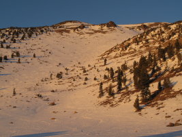 Giddy-giddy gulch