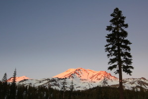 Shasta sunset