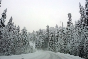 Beautiful fresh snow!