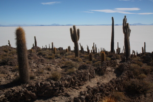 An island in the ocean of salt