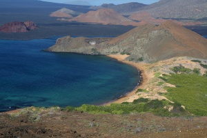 The north beach, on which we later saw galapagos sharks and tonnes of sea lions!
