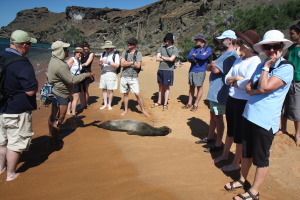 The whole gang, around a poor sea lion that didn't make it