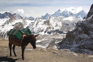 The unsung heroes of the Huayhuash
