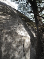 Tree route - a tough 5.10b (the start is brutal)