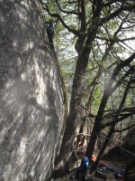 This shows how steep the start is! The tree makes it doable :)