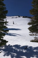 Nice corn turns from the summit of Tinker Knob (surprisingly my tracks were the only ones!)