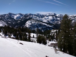 Some nice corn near Billy's peak