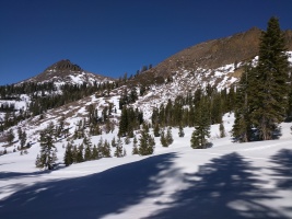 Looking back at Tinkers Knob... I don't know how I managed to ski through that