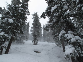 Wind is blowing the snow around a bit