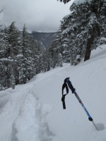 Deep snow off the trail