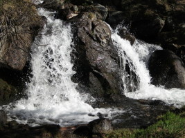 The trail follows Glacier Creek for a while - it's gorgeous