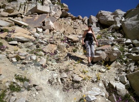 The hike had a lot of wildflowers... they were even in the descent gully!