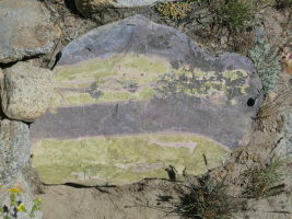 Neat rock on the trail