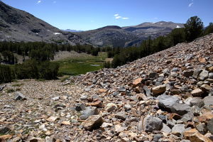 When you descent from the talus slope, it is a whole different world of greenery and life..