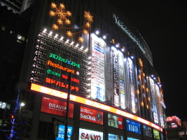 One of the hugest and most famous stores in Akiba