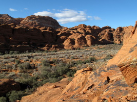 Snow Canyon is a beautiful place!