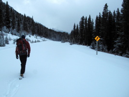 Hiking along the road after fresh snow - 5km. Always seems longer than that!