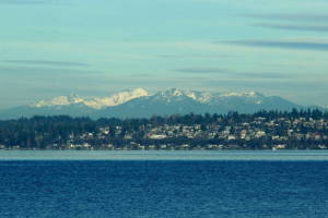 Olympic mountains