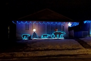 I love my neighbours' lights, so cute!