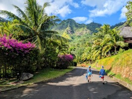 Walking to the pool Walking to the pool