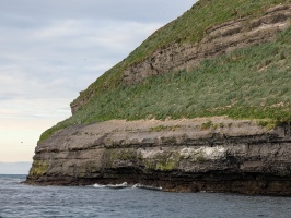 The white dots are puffins!