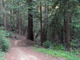 MTB in the Bay MTB in the Bay