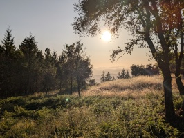 Soquel Demo Forest Soquel Demo Forest