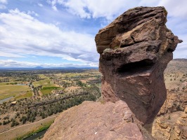 Monkey Face Monkey Face