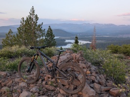 Animal trail Animal trail