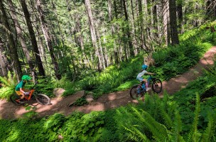 Dead Mountain Trail at Oak Ridge, Oregon Dead Mountain Trail at Oak Ridge, Oregon